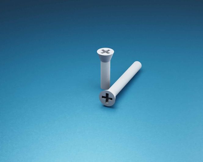 Hovedbilde ANYZ Screws - countersunk cross 0.5mm 250 pcs