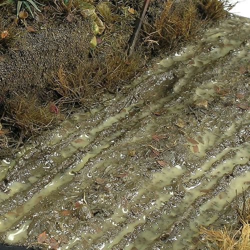 AK-Interactive Terrains Wet Ground 250ml (8016)