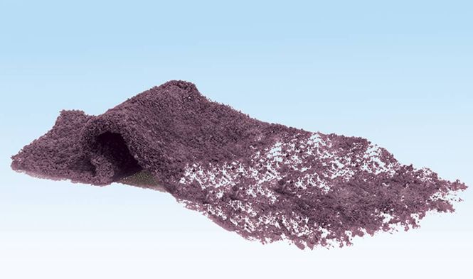 Main Image Flowering Foliage™ Purple - Woodland ...