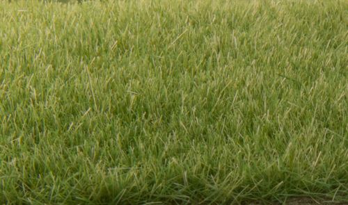 Static Grass Medium Green 4mm - Woodland Scenics FS618