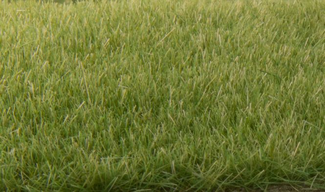 Main Image Static Grass Medium Green 4mm - Woodland Scenics ...